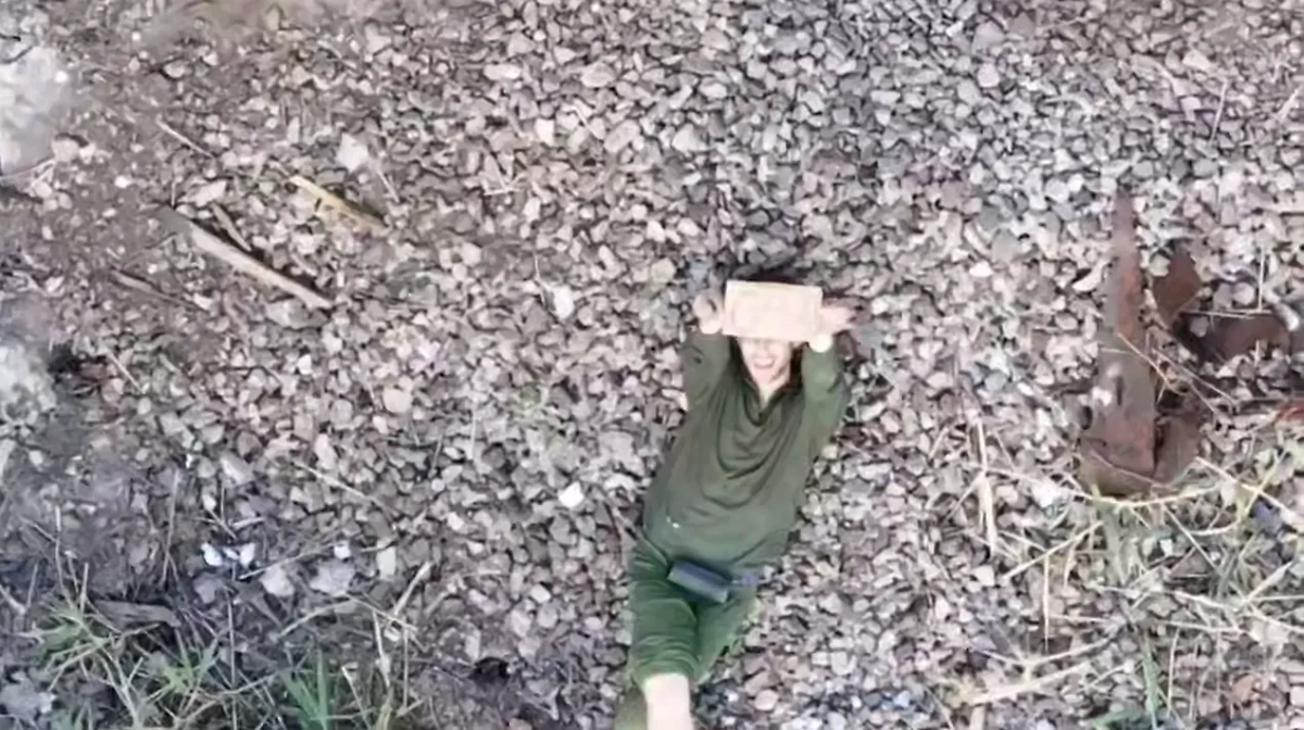 Обложка © Telegram / Владимир Сальдо