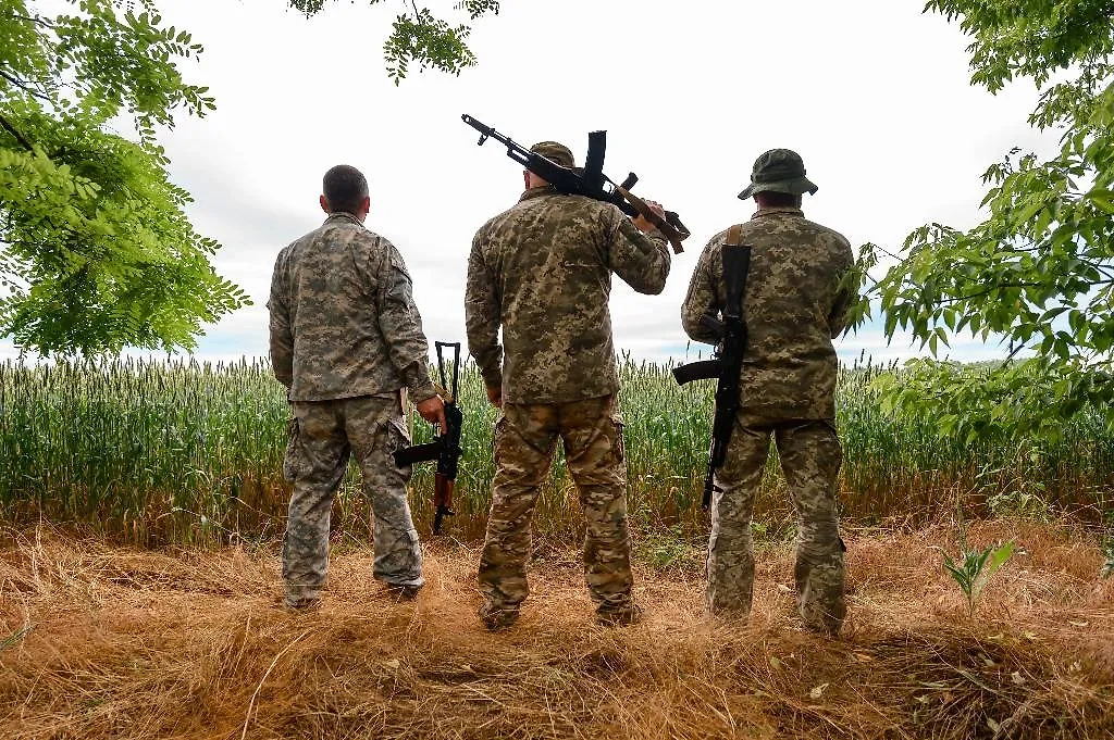 Обложка © Shutterstock / FOTODOM/ Andrii Anna photographers