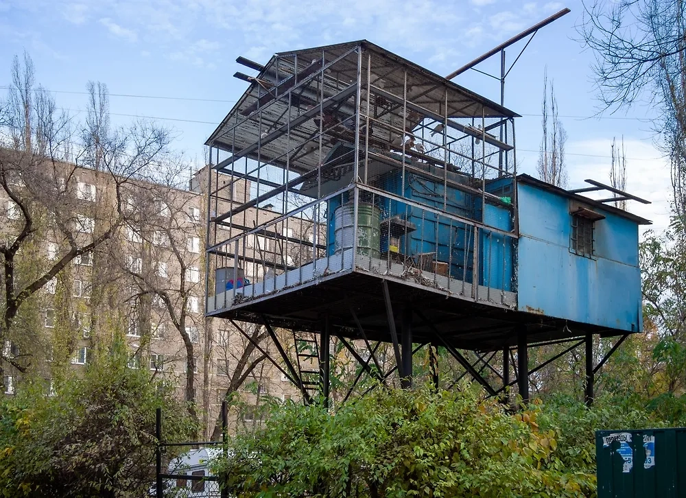 Обложка © Shutterstock / FOTODOM / VPales