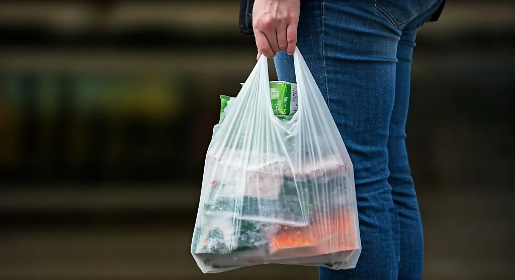 Обложка © Shutterstock / FOTODOM / Shutterstock AI