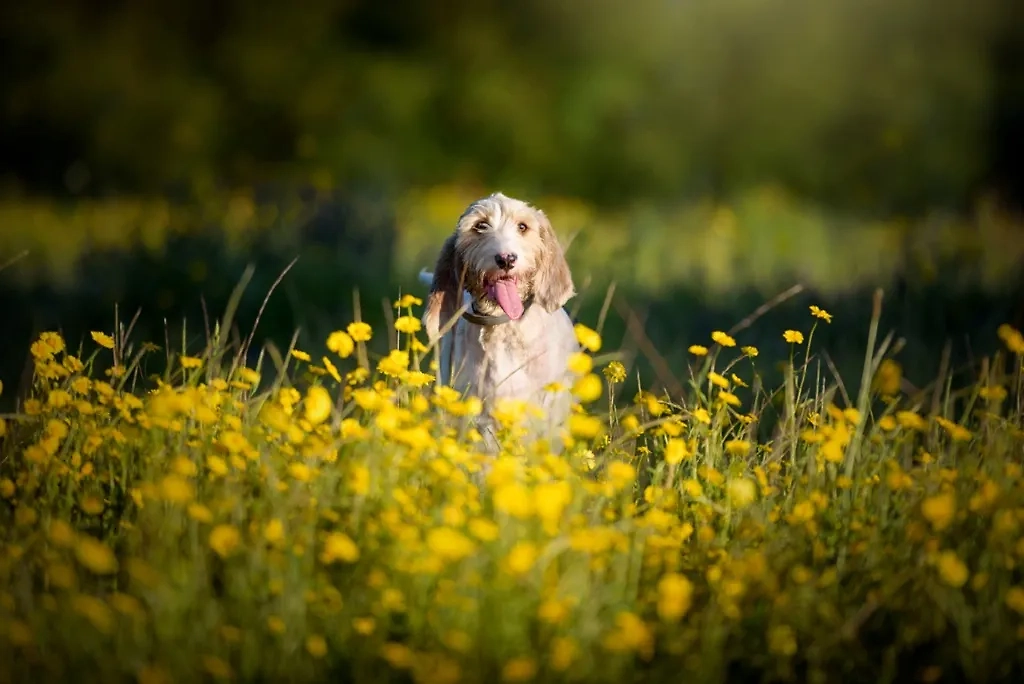 Обложка © Shutterstock / FOTODOM / TamaraLSanchez