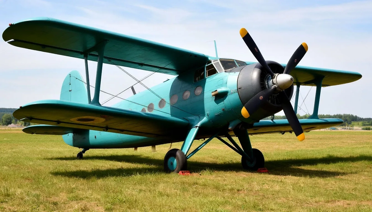 Самолёт Ан-2. Обложка © Шедеврум / Life.ru