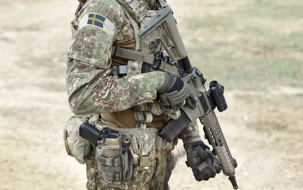 Обложка © Shutterstock / FOTODOM / Bumble Dee