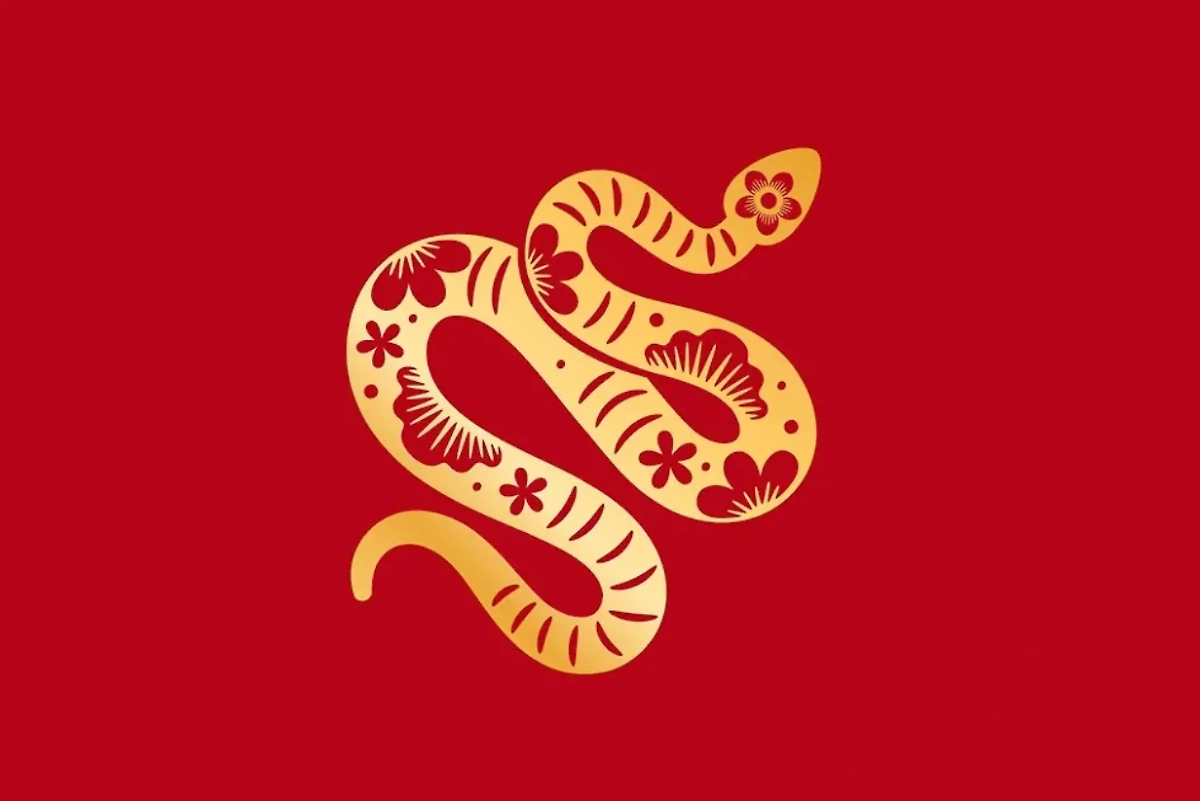 Финансовый гороскоп восточного календаря на осень 2025 года для рождённых в год Змеи. Фото © Shutterstock / FOTODOM / StockSmartStart