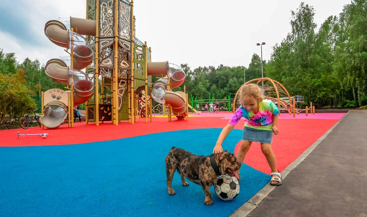 В Москве строят детские и спортивные площадки. Обложка © mos.ru