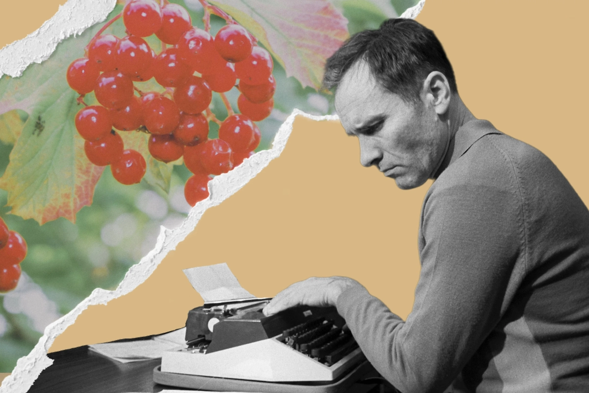 Обложка © коллаж © Life.ru, фото © Shutterstock / FOTODOM / DimaSid, © ТАСС / Анатолий Ковтун