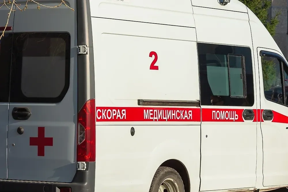 Обложка © Shutterstock / FOTODOM / Ilya_Kuznetsov