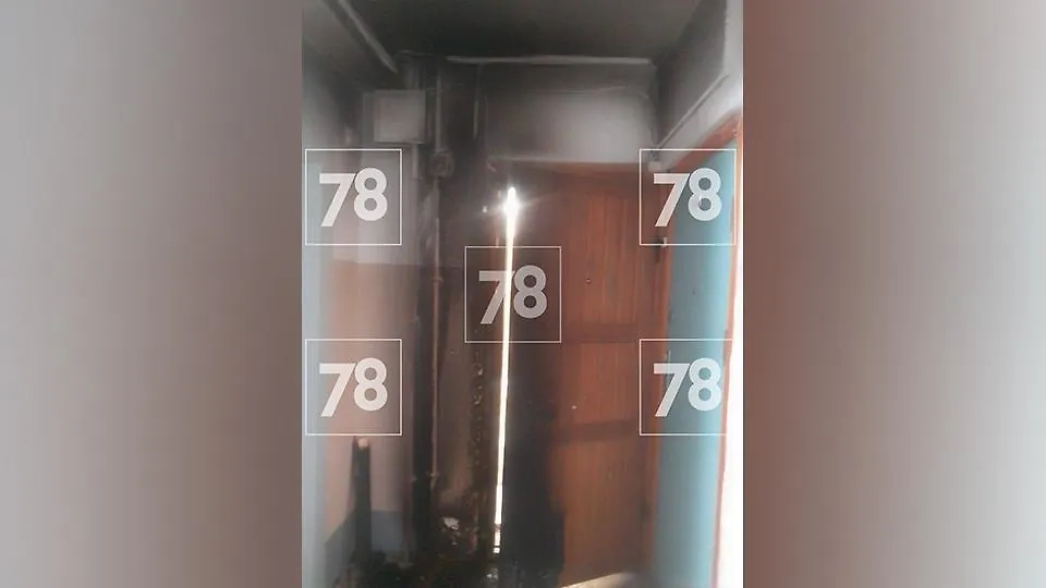 Квартира, которую поджёг мужчина. Фото © 78.ru