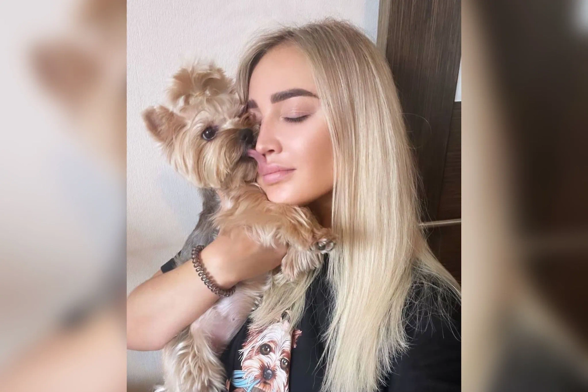 Не стало собаки Ольги Бузовой. Обложка © Telegram / Бузова