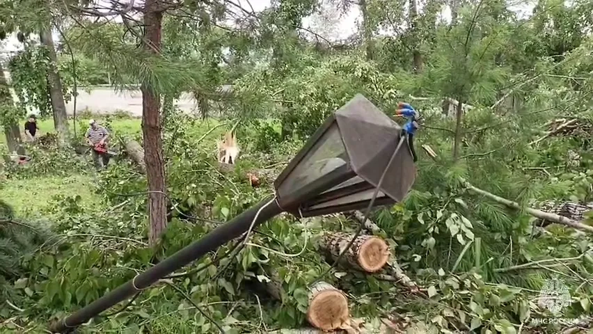 Обложка © Telegram / МЧС Хабаровского края