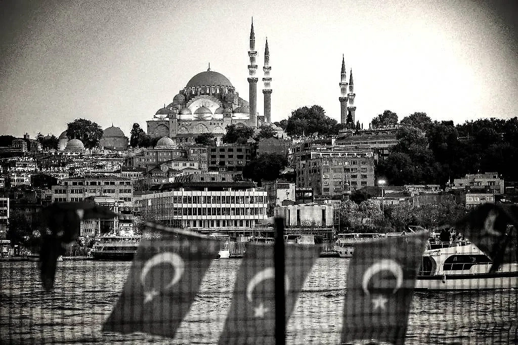 Обложка © Shutterstock / FOTODOM / BTWImages