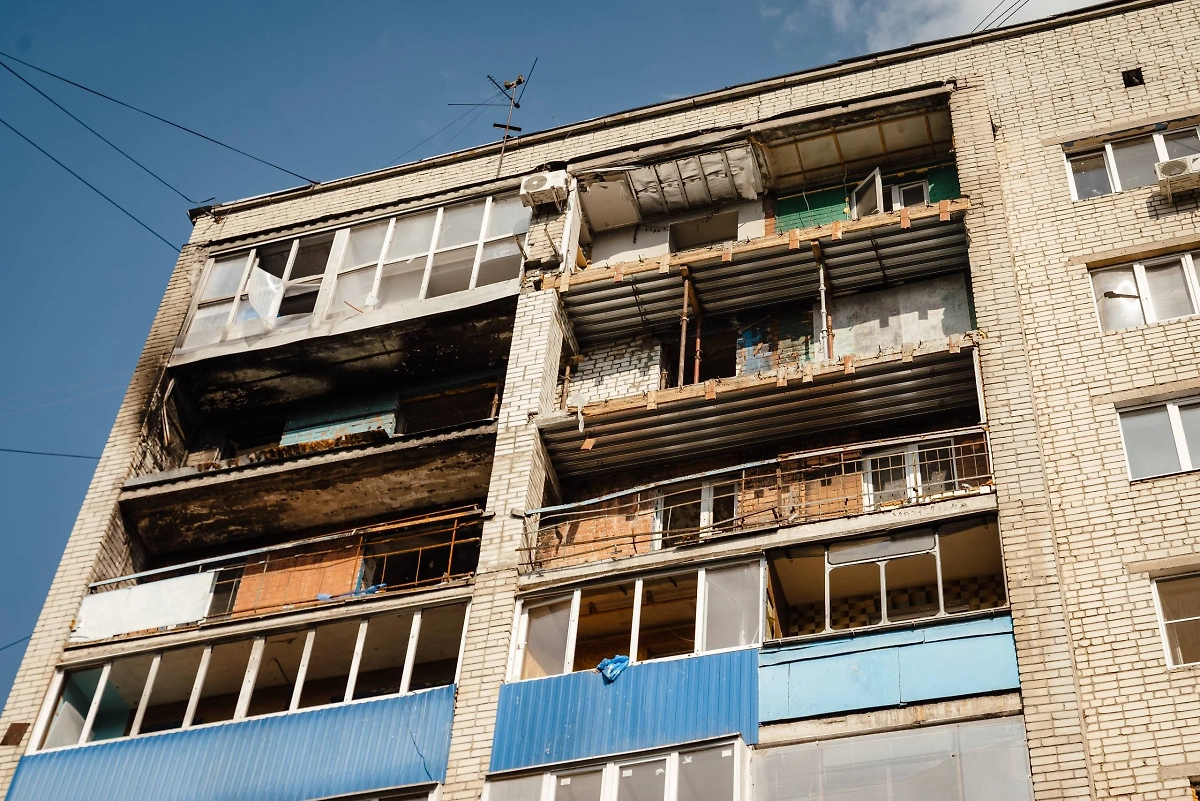 Обложка © Telegram/ Александр Хинштейн