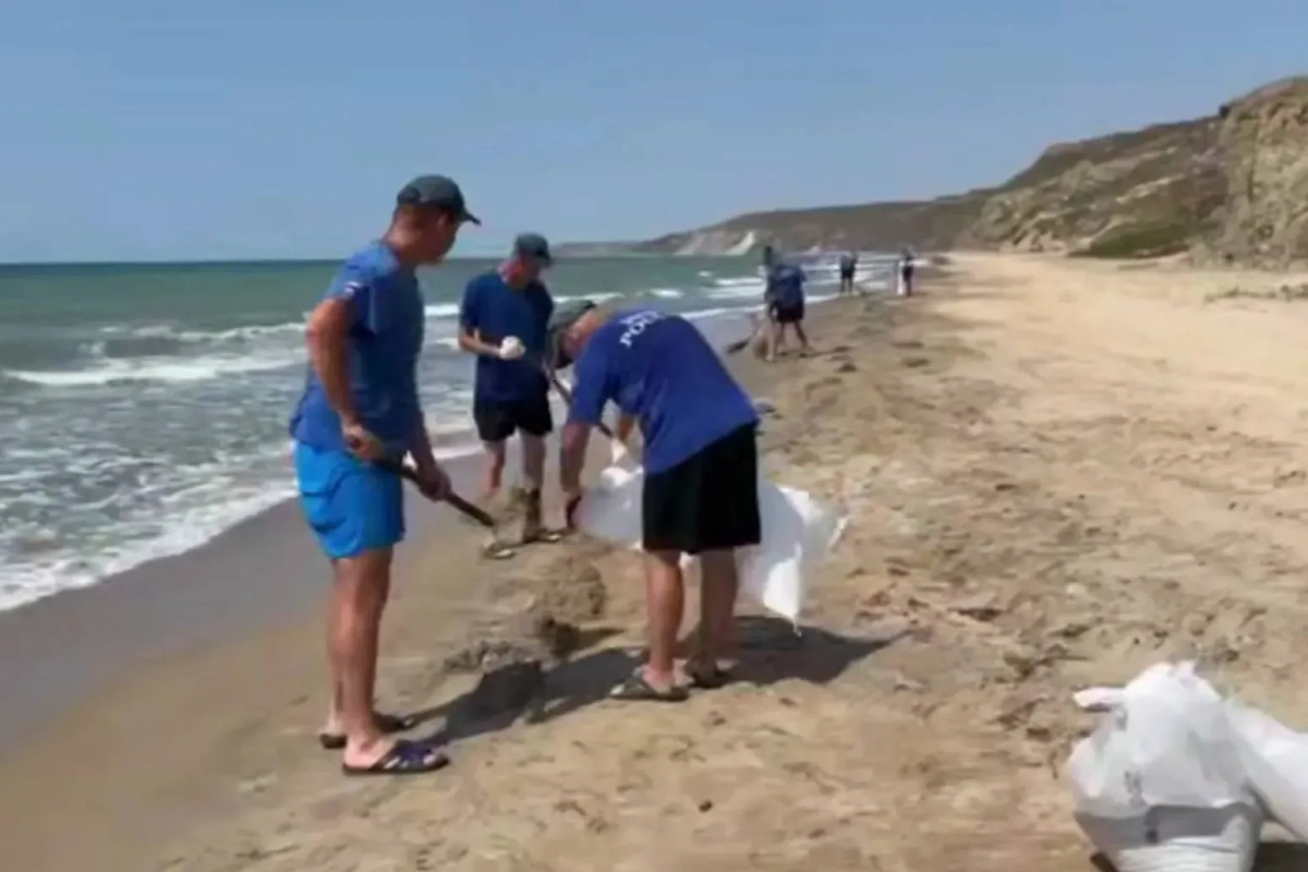 Обложка © Telegram / Оперативный штаб Краснодарского края