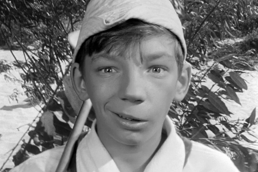 Классические загадки времён СССР: справится ли нынешнее поколение. Фото © Фильм «Добро пожаловать, или Посторонним вход воспрещён», режиссёр Элем Климов, сценарист Семён Лунгин и др. / Kinopoisk