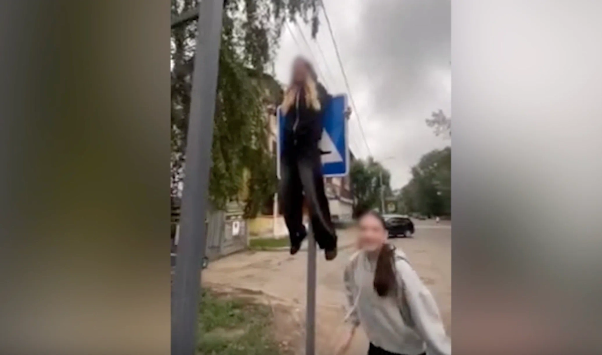 Обложка © Telegram/ Екатерина Мизулина