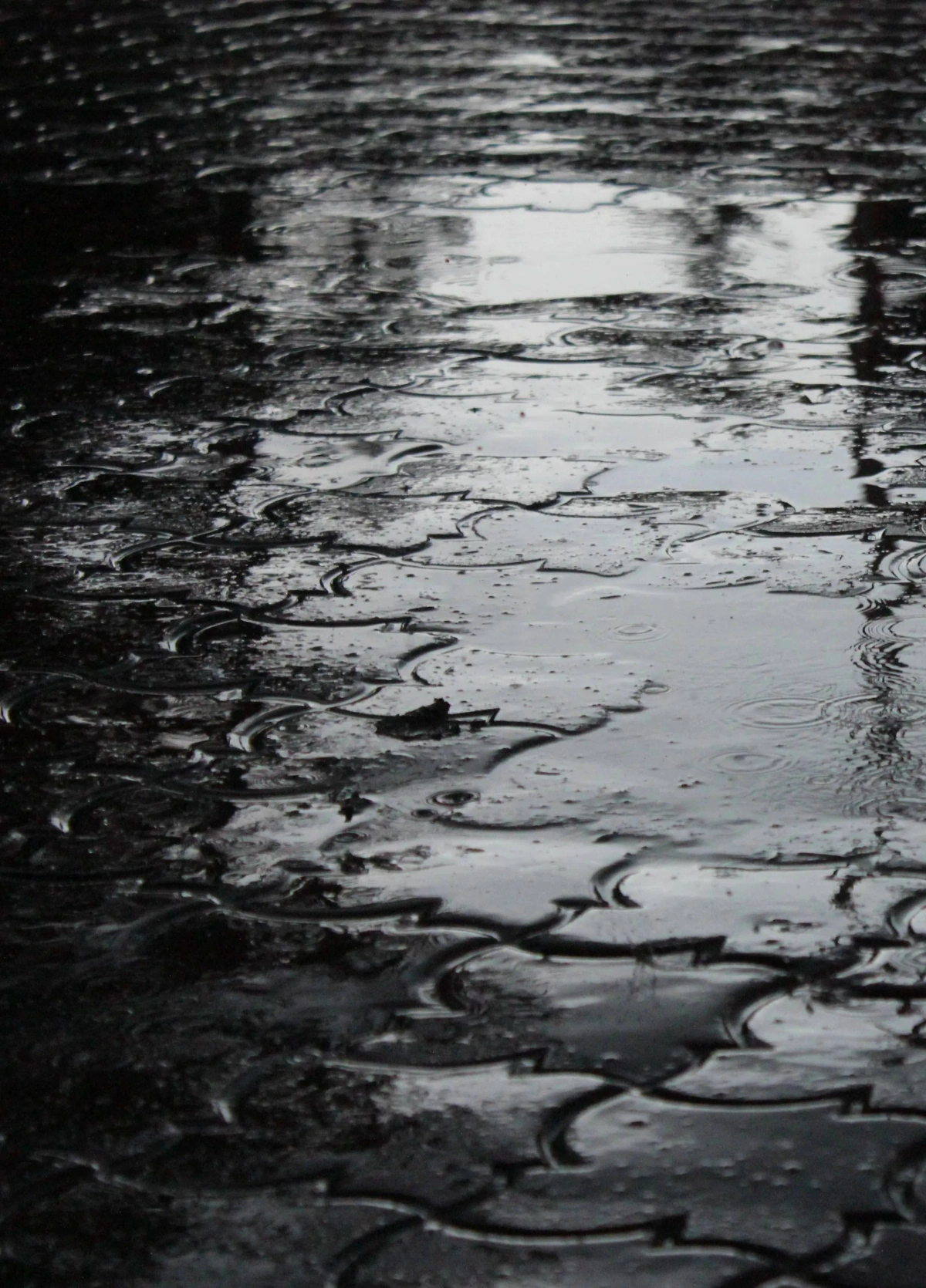 Обложка © обложка