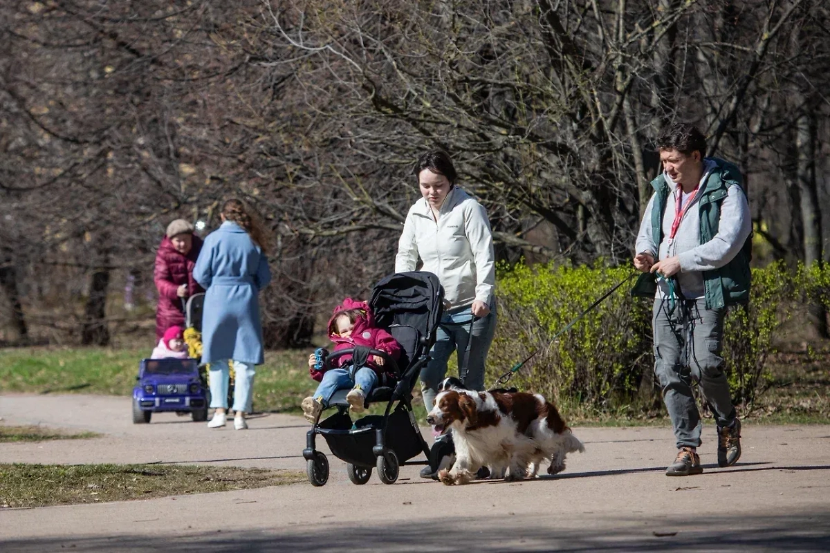 Обложка © Life.ru