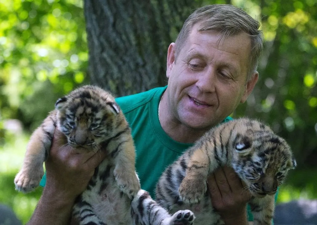 Обложка © ТАСС / Сергей Мальгавко