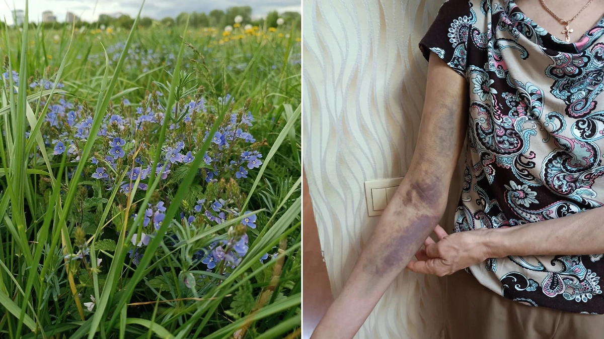 Цветы, которые фотографировала учительница и последствия этих фотографий. Фото © VK / Валентина Николаевна