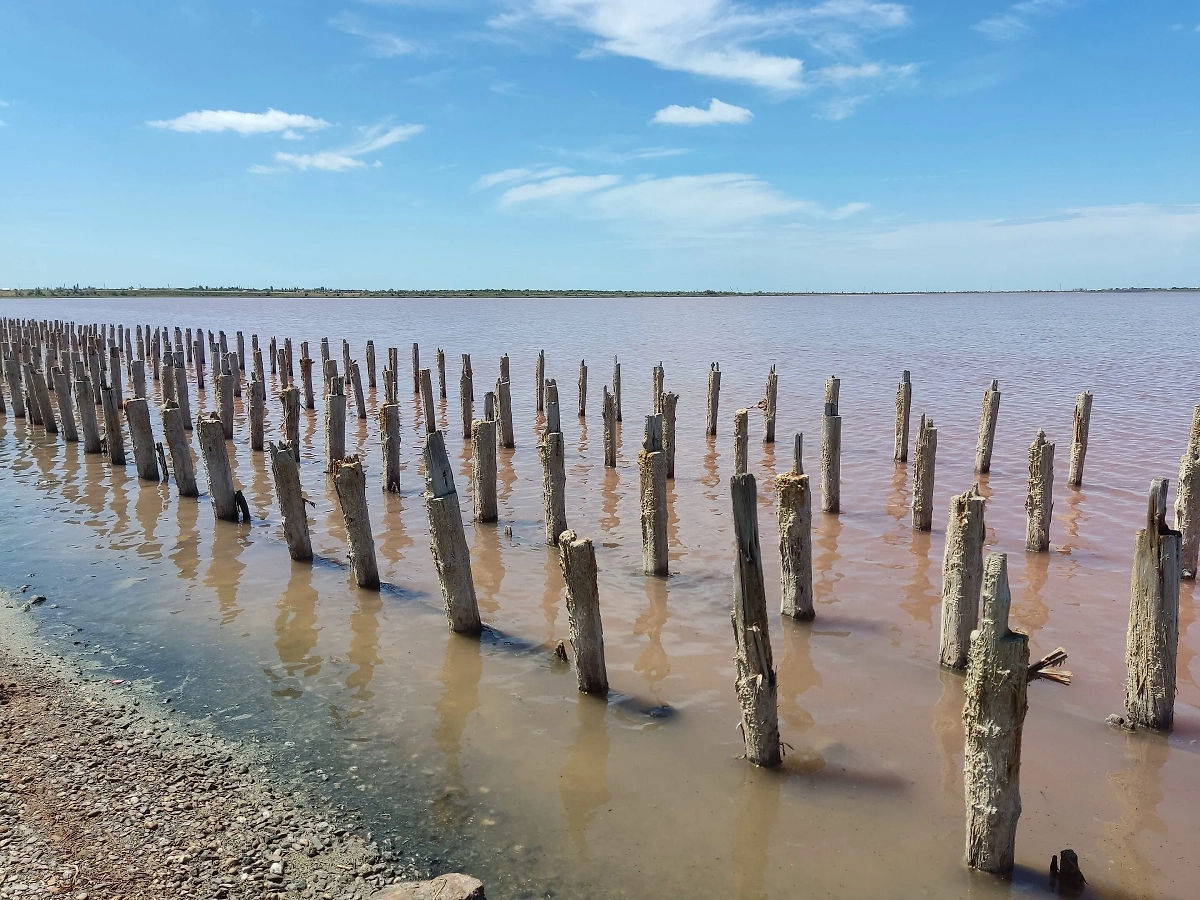 Обложка © Wikipedia / Mitte27