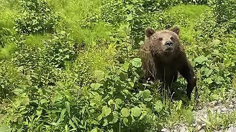 Обложка © Telegram / Vladimir Shablii BLOG