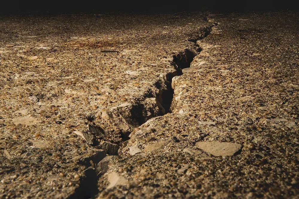 Обложка © freepik/wirestock