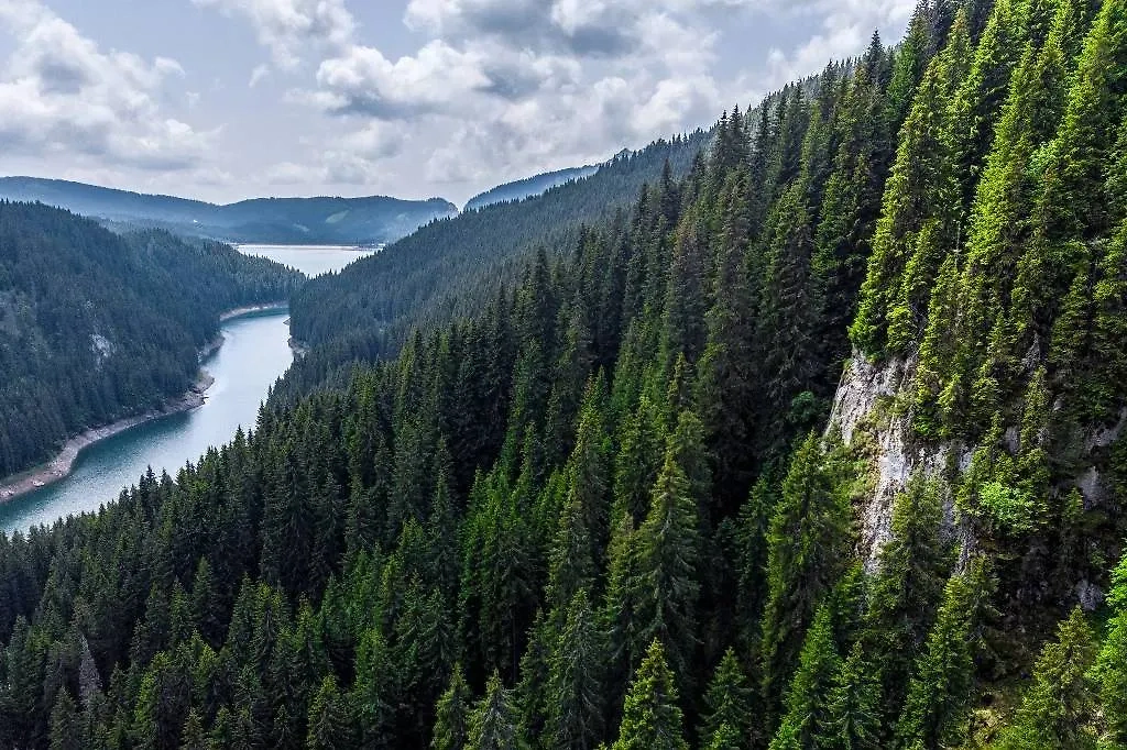 Обложка © Shutterstock / FOTODOM / Epic Vision