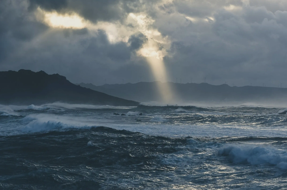 Обложка © Freepik / wirestock 