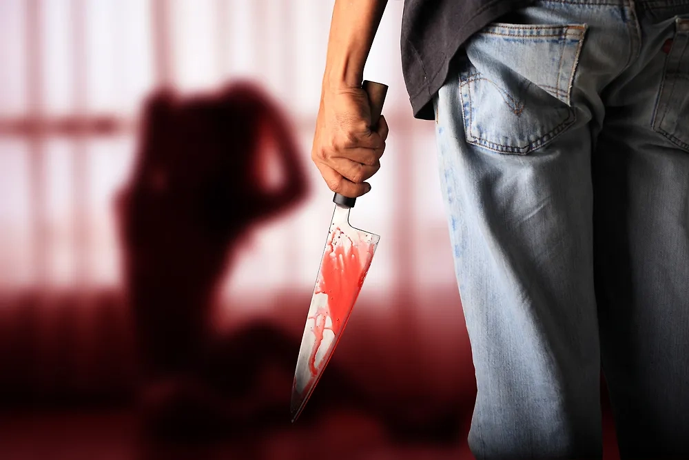 Обложка © Shutterstock / FOTODOM / Thirdparty