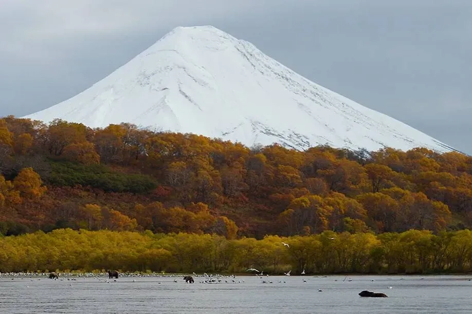 Обложка © Wikipedia / Игорь Шпиленок