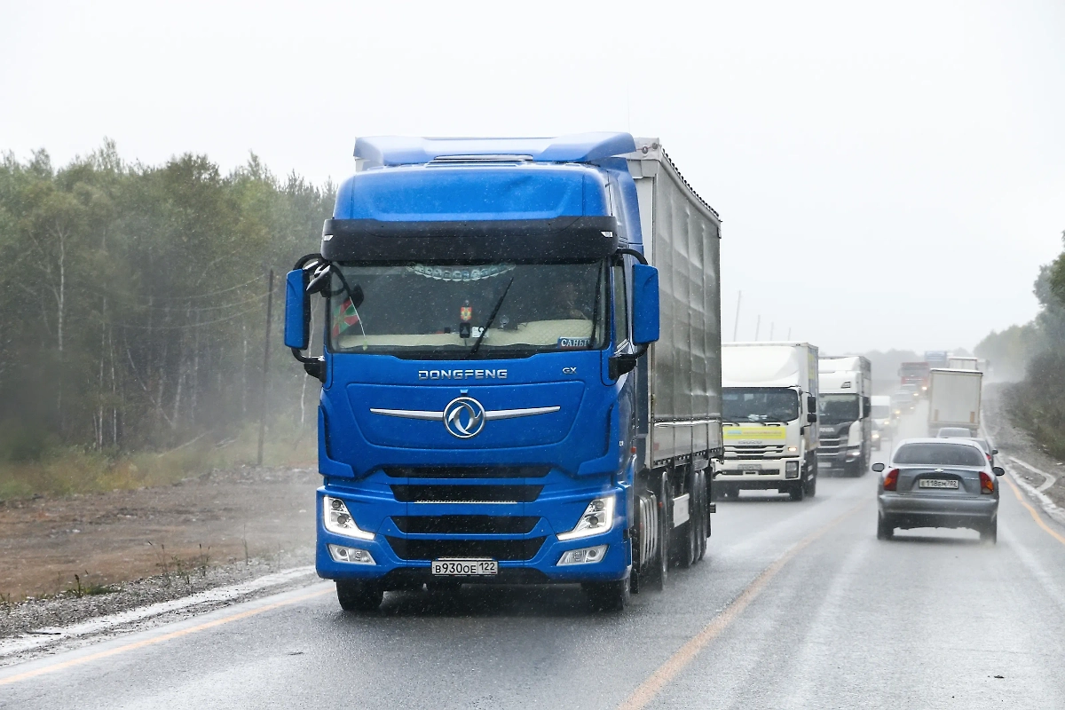 Обложка © Shutterstock / FOTODOM/ Art Konovalov