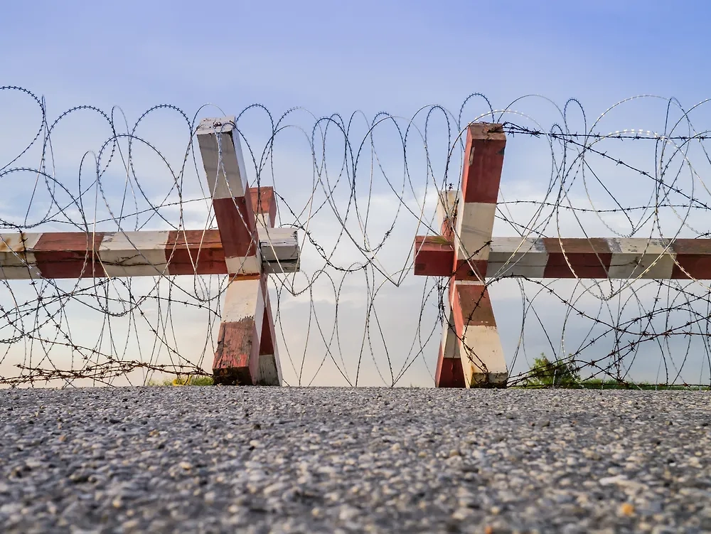 Обложка © Shutterstock / FOTODOM / Panya_Anakotmankong