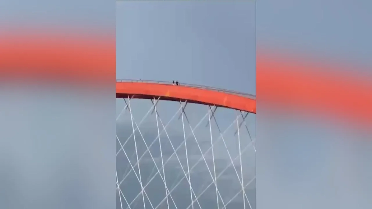 Подростки забрались на 85-метровую арку Бугринского моста в Новосибирске. Обложка © Telegram / АСТ-54 Black