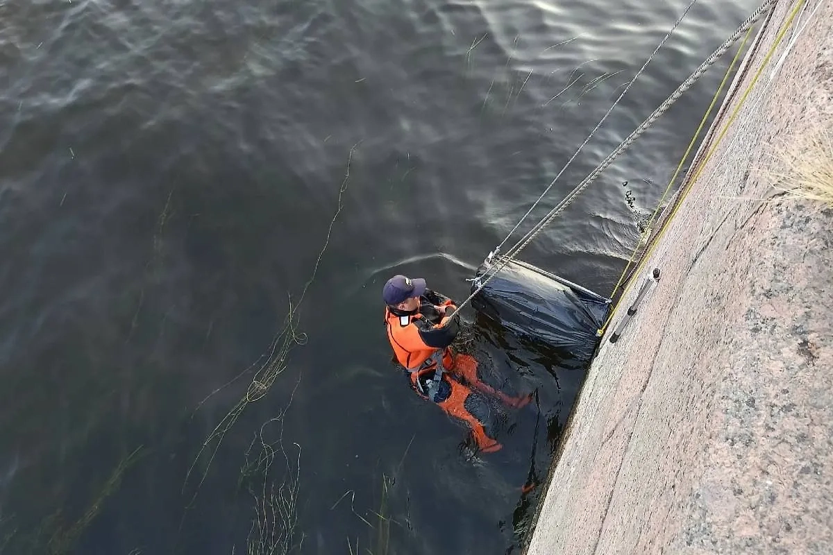 Кадры с попытками спасения. Фото © VK / КОШКИСПАС. Спасение животных