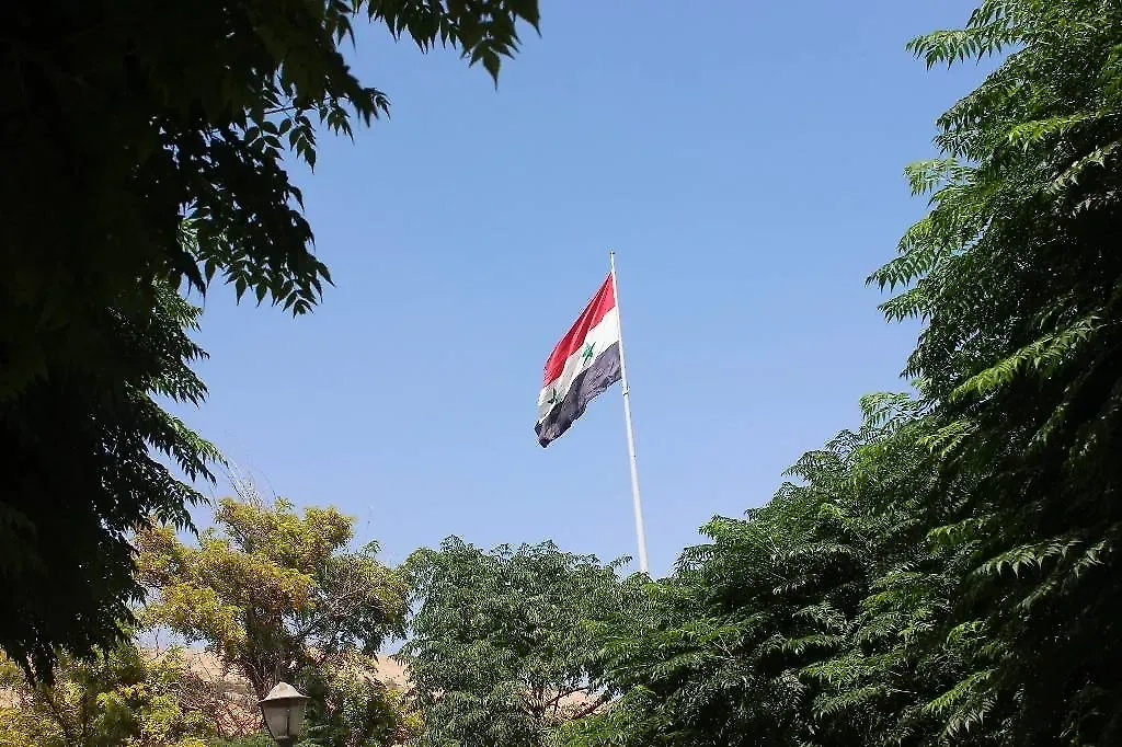 Обложка © Shutterstock / FOTODOM / Tarek Alfarawati