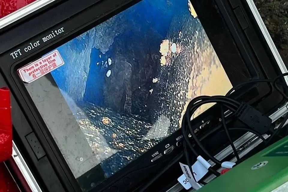 Кадры с попытками спасения. Фото © VK / КОШКИСПАС. Спасение животных