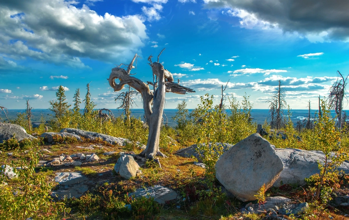 Обложка © VK / Национальный парк «Воттоваара»