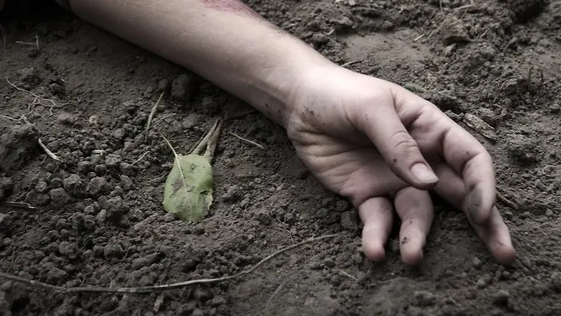 Обложка © Shutterstock / FOTODOM / ArtMari