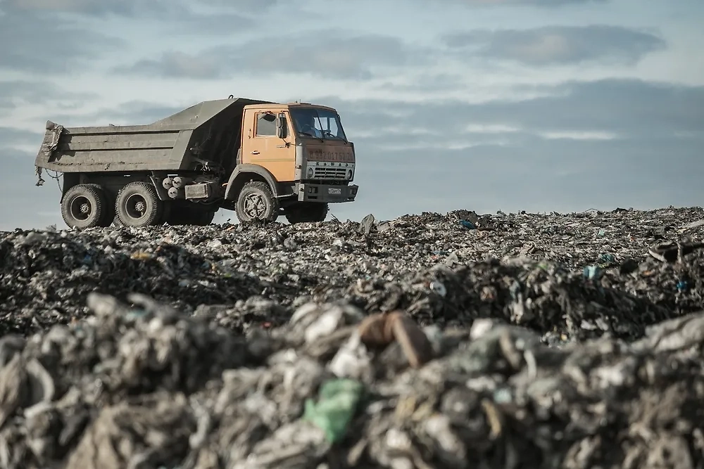 Обложка © Shutterstock / FOTODOM / Salivanchuk Semyon