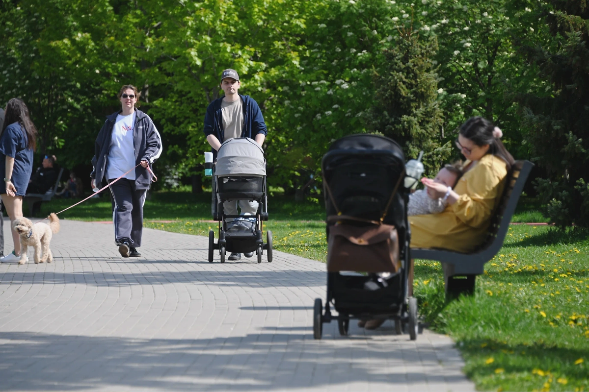 С 1 июля начали перечислять новые социальные выплаты. Обложка © Life.ru