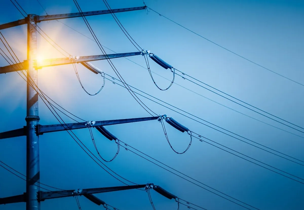 Обложка © freepik / fanjianhua