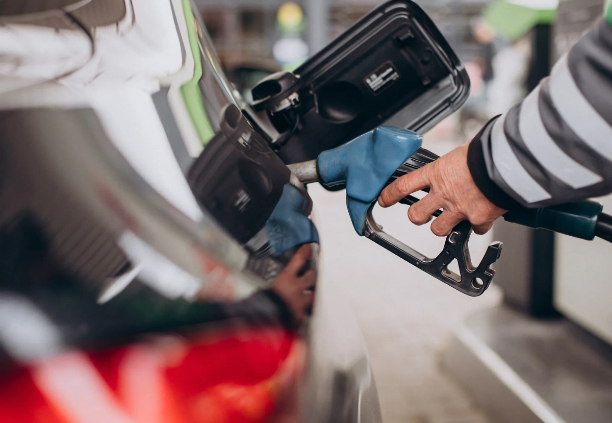 Обложка © freepik / senivpetro