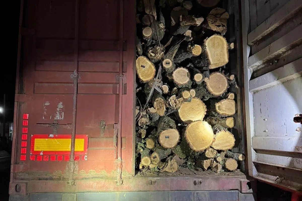 Обложка © Telegram / Госпогранслужба Украины