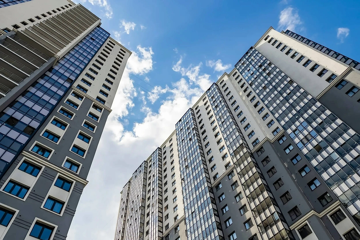 Обложка © Shutterstock / FOTODOM / bellena