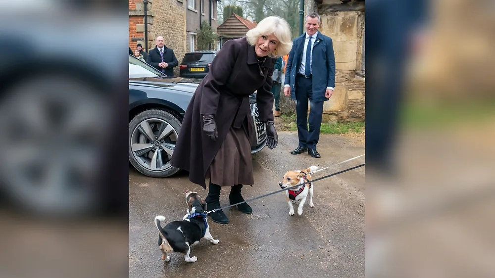 Смерть собаки — это трагедия для каждого собачника. Королева Камилла — не исключение.Фото © TACC / ZUMA