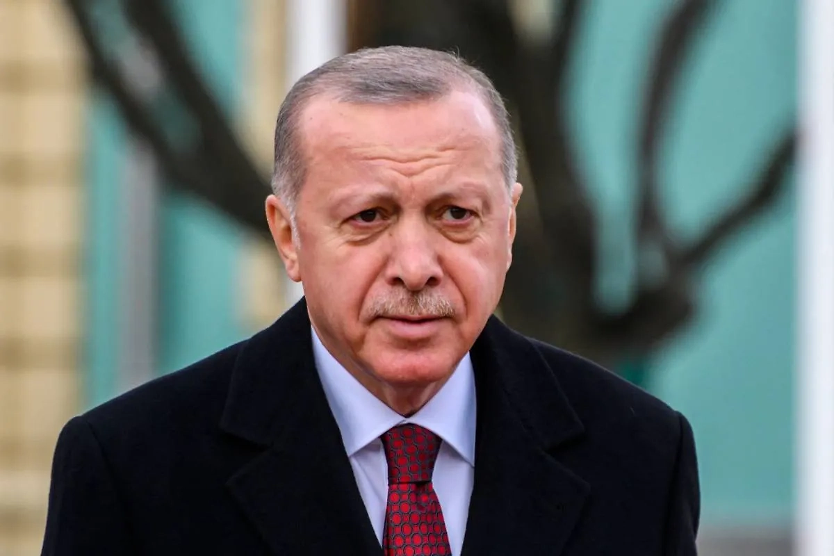 Обложка © Shutterstock / FOTODOM / Siarhei Liudkevich