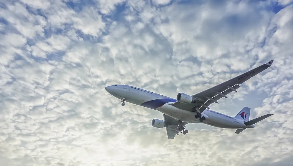 Обложка © Shutterstock / FOTODOM / AzleenRamli