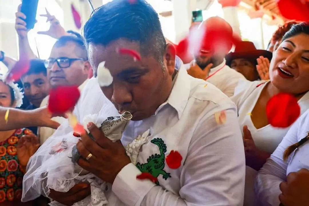 Мэр Даниэль Гутьеррес вступил в символический брак с самкой каймана. Обложка © Х / NTV Kenya