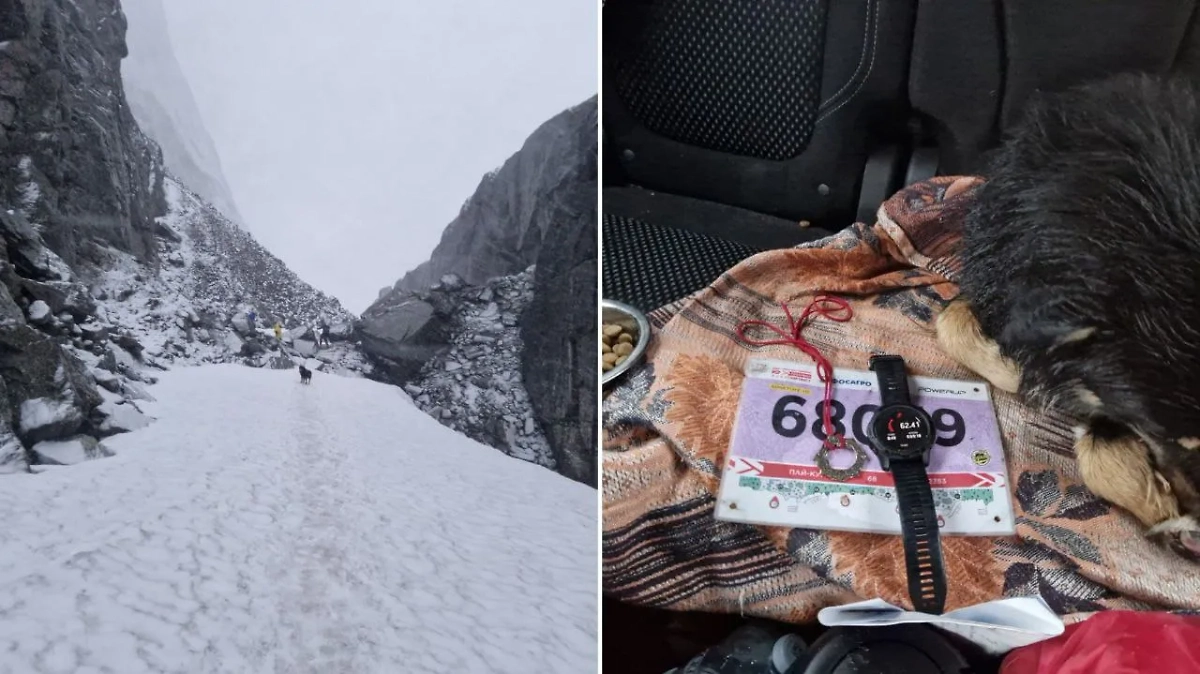 Дорога и атрибуты участников. Фото © Telegram / Mash