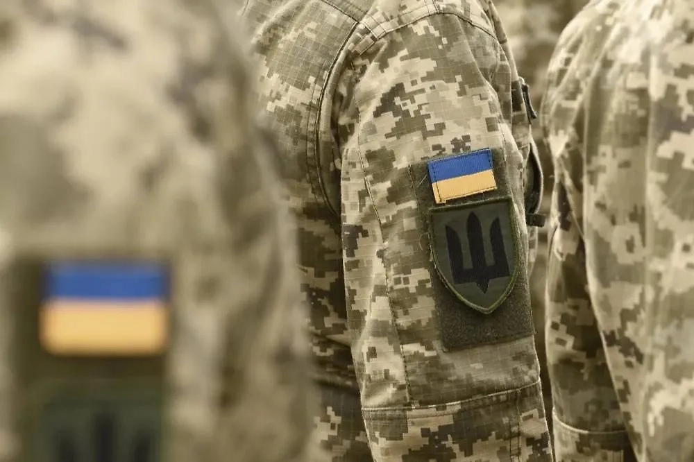 Обложка © Shutterstock / FOTODOM / Bumble Dee